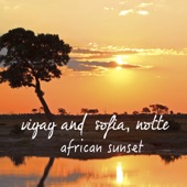 African Sunset (feat. Notte) artwork