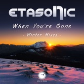 When You're Gone (Winter Mix) artwork