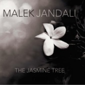 The Jasmine Tree artwork