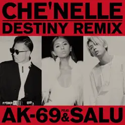 Destiny (Remix) [feat. AK-69 & Salu] - Single - Che'Nelle