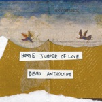 Horse Jumper of Love - Orange Peeler