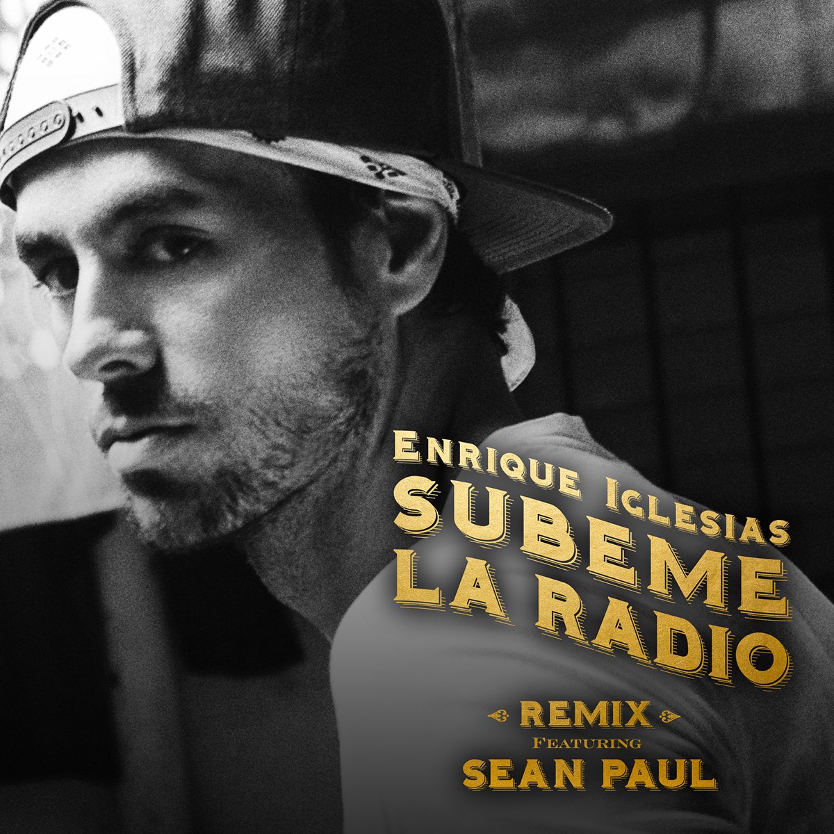 Fanático Antecedente sin cable ‎SÚBEME LA RADIO (REMIX) - Single de Enrique Iglesias & Sean Paul en Apple  Music