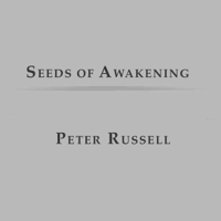 Peter Russell - Seeds of Awakening (Unabridged) artwork