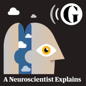A Neuroscientist Explains: how we read words