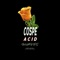 Acid Waves - Cospe lyrics