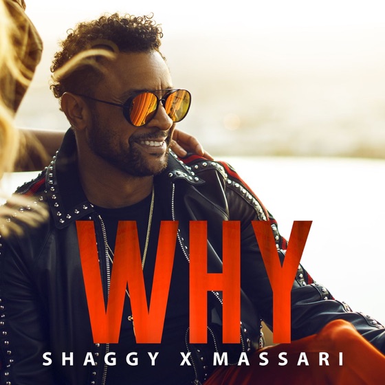 Cover artwork for Why