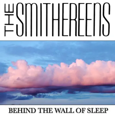 Behind the Wall of Sleep (Live) - Single - The Smithereens