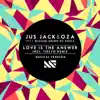Love Is The Answer (feat. Blessid Union Of Souls) - Single album lyrics, reviews, download