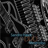 Sandro Haick e Mestrinho Duo