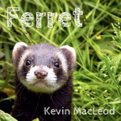 Kevin MacLeod - Industrious Ferret