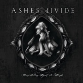 The Stone by Ashes Divide