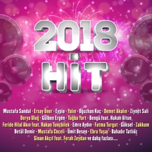 Hit 2018