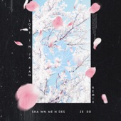 Lost in Japan (Remix) artwork