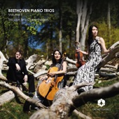 Beethoven Piano Trios, Vol. 2 artwork