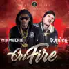 On Fire (feat. Dandee) - Single album lyrics, reviews, download