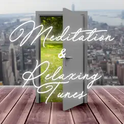 Meditation and Relaxing Tunes by Various Artists album reviews, ratings, credits