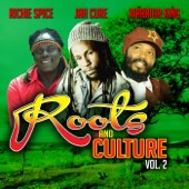 Roots and Culture, Vol.2 artwork