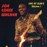 Joe Louis Walker - I Didn't Know