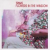 Flowers in the Window - Single, 2002