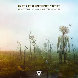 descargar álbum Razzek & Viking Trance - Re Experience