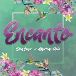 Encanto (feat. Sharlene Taule) - Single - Don Omar