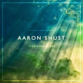 Aaron Shust - No One Higher