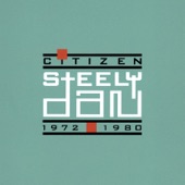 Citizen Steely Dan 1972-1980 artwork