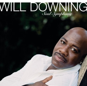 Will Downing - Soul Steppin' - 排舞 音乐