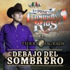 Debajo del Sombrero (feat. Banda Tierra Sagrada) - Single