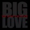 Big Love - She Wants Revenge lyrics