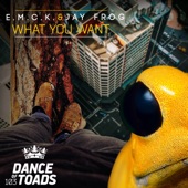 What You Want - EP artwork