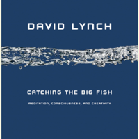 David Lynch - Catching the Big Fish: Meditation, Consciousness, and Creativity (Unabridged) artwork