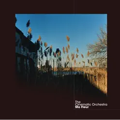 Flowers - Single - The Cinematic Orchestra Flowers - Single - The Cinematic Orchestra