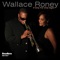 If Only for One Night - Wallace Roney lyrics