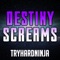 Destiny Screams (feat. Daddyphatsnaps) - TryHardNinja lyrics