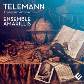 Telemann: Voyageur virtuose artwork