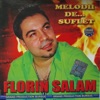 Florin Salam - Una Rece, Una Calda
