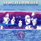 A Foot In Coldwater - Suzy