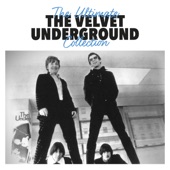 The Velvet Underground - Foggy Notion