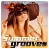 Summer Grooves, Vol. 5 (Deep House & Ibiza Chill out Beach Tunes)