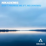 Don't Promise Me (feat. no 1 knows) - Single