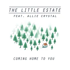 Coming Home to You (feat. Allie Crystal) - Single by The Little Estate album reviews, ratings, credits