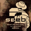 What Do You Love (feat. Jacob Banks) [Remixes]