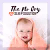 The No Cry Sleep Solution - Beats of the Heart: Imitating Sounds of the Womb album lyrics, reviews, download