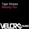 Missing You (Raw Artistic Soul Bonus Beats) - Tiger Stripes lyrics