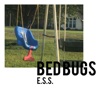 Bed Bugs - Single