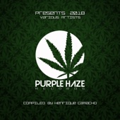 Purple Haze: 2018 artwork