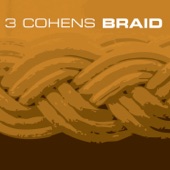 Braid (feat. Anat Cohen, Avishai Cohen & Yuval Cohen) artwork