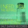 I Need You (Jose Burgos Remix) song lyrics