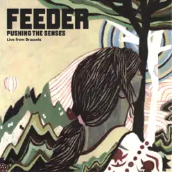 Pushing the Senses (Live from Brussels) - Single - Feeder